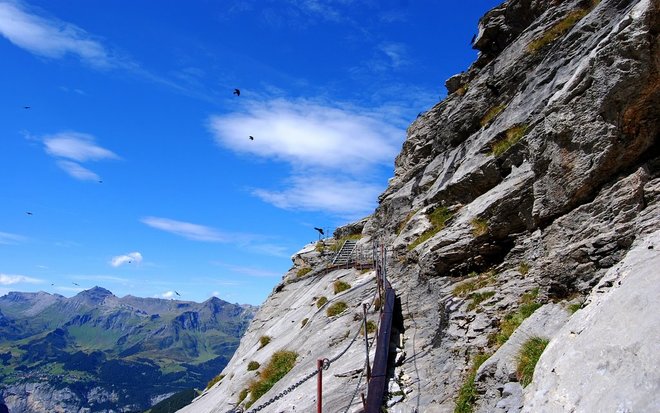 Le top 5 des randonnées en montagne de l'IIP