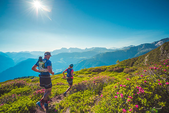 L'été dans les Alpes - Quoi de neuf ?